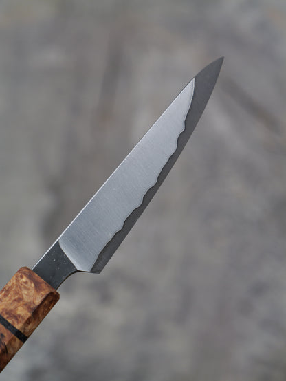 Paring Knife/ Japanese Shotoh – Stainless clad, carbon core Aogami Super Blue with Spalted Maple and Bog Oak