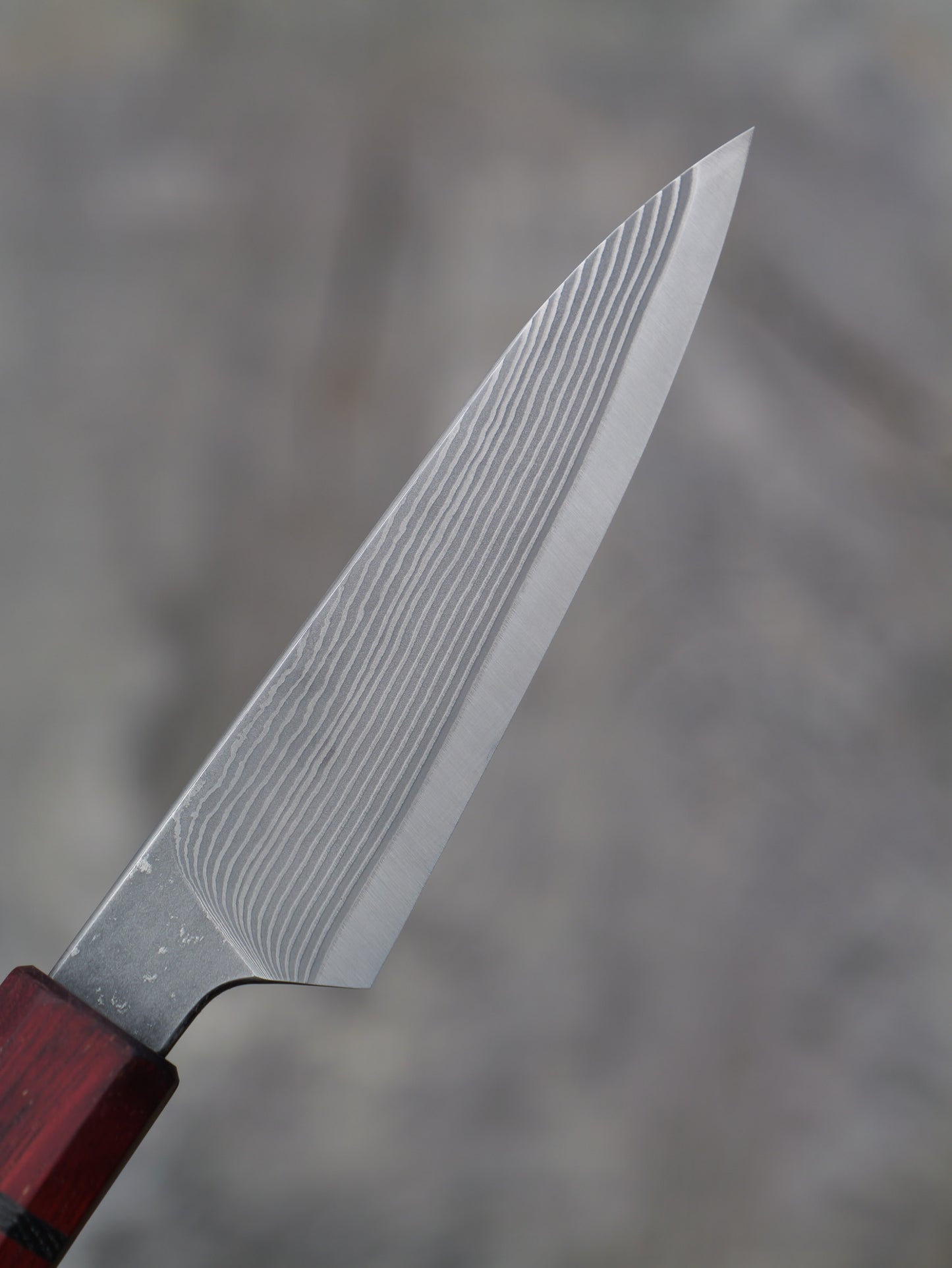 Paring Knife / Japanese Shotoh – Japanese SG 2 laminated stainless with Paduk and Bog Oak