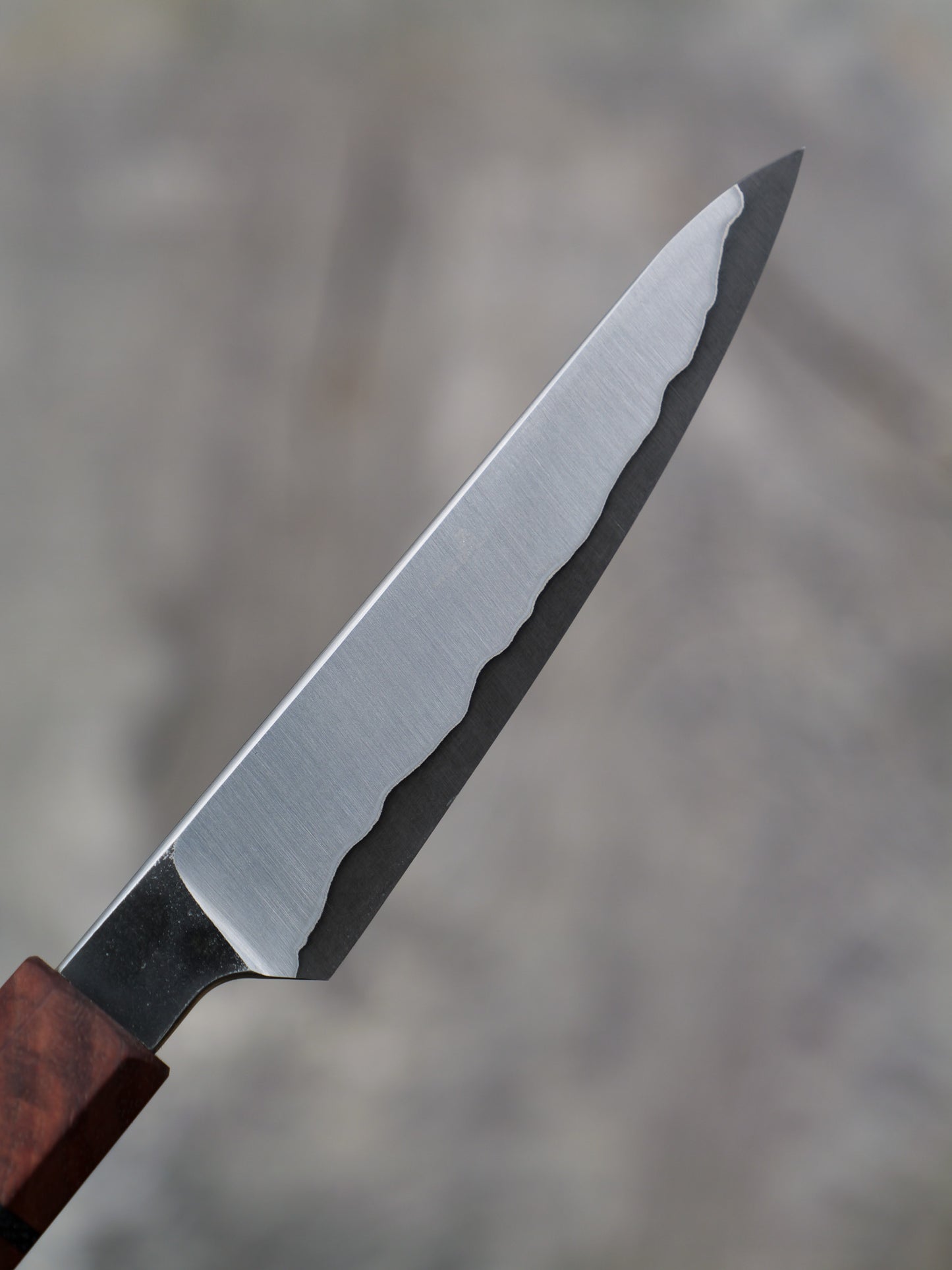 Paring Knife / Japanese Shotoh – Stainless clad, carbon core Aogami Super Blue with Walnut and Bog Oak