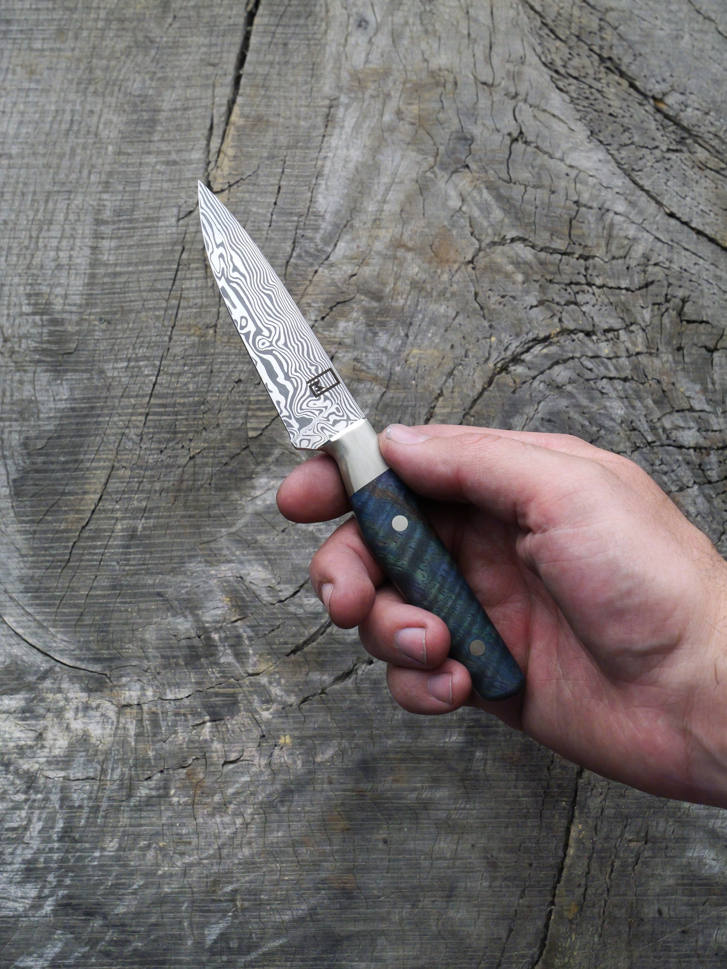 Paring Knife – Stainless Damascus Steel, Curly Mango & Nickel Silver
