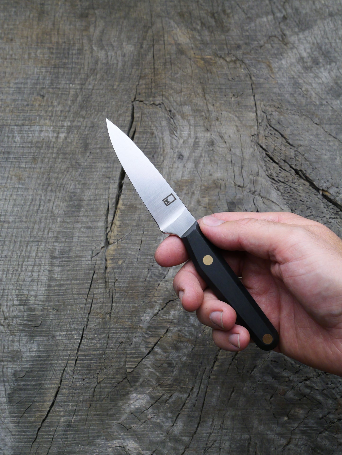 Fusion Paring Knife – Stainless Steel Blade, Richlite Handle